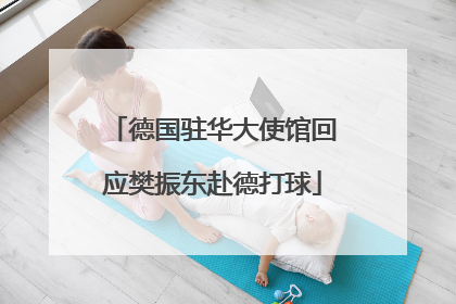 德国驻华大使馆回应樊振东赴德打球