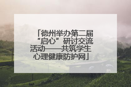 德州举办第二届“启心”研讨交流活动——共筑学生心理健康防护网
