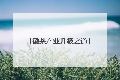 徽茶产业升级之道