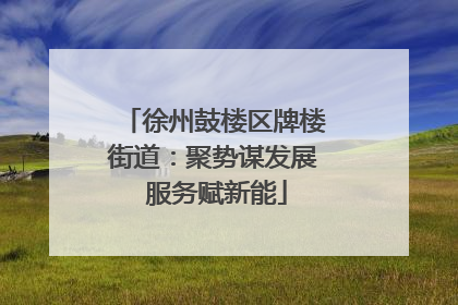 徐州鼓楼区牌楼街道：聚势谋发展 服务赋新能