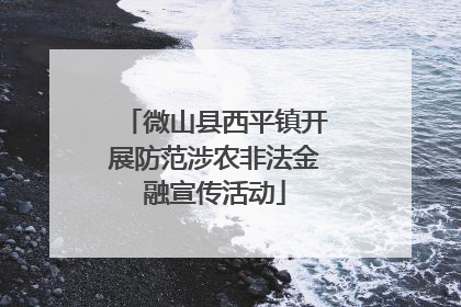 微山县西平镇开展防范涉农非法金融宣传活动