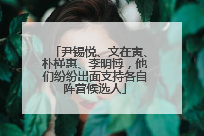 尹锡悦、文在寅、朴槿惠、李明博，他们纷纷出面支持各自阵营候选人