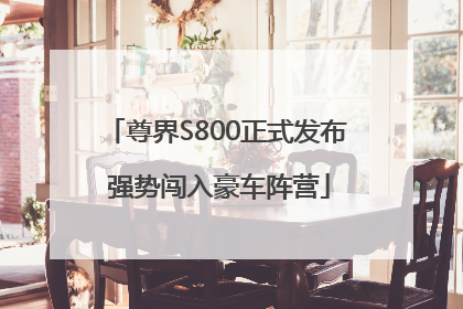 尊界S800正式发布 强势闯入豪车阵营