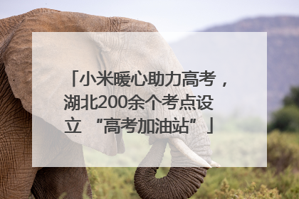 小米暖心助力高考，湖北200余个考点设立 “高考加油站”