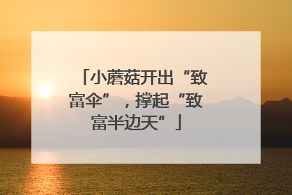 小蘑菇开出“致富伞”，撑起“致富半边天”
