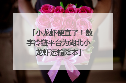 小龙虾便宜了！数字冷链平台为湖北小龙虾运输降本