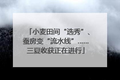 小麦田间“选秀”、蚕房变“流水线”……三夏收获正在进行