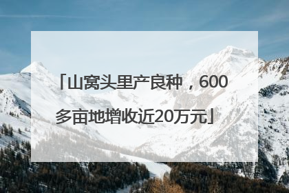 山窝头里产良种，600多亩地增收近20万元