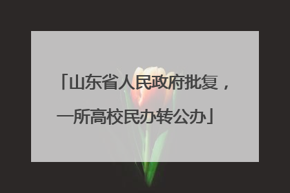山东省人民政府批复，一所高校民办转公办