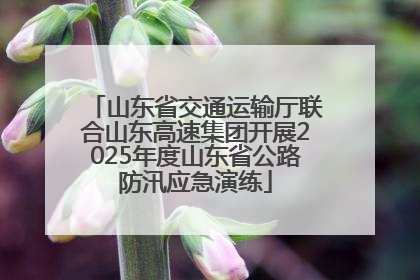 山东省交通运输厅联合山东高速集团开展2025年度山东省公路防汛应急演练