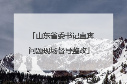 山东省委书记直奔问题现场督导整改