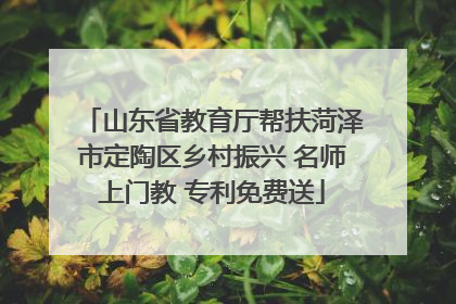 山东省教育厅帮扶菏泽市定陶区乡村振兴 名师上门教 专利免费送