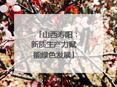 山西寿阳：新质生产力赋能绿色发展