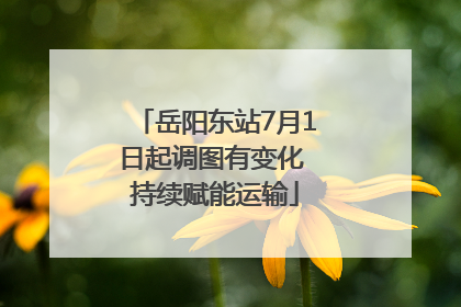 岳阳东站7月1日起调图有变化 持续赋能运输