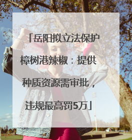 岳阳拟立法保护樟树港辣椒：提供种质资源需审批，违规最高罚5万
