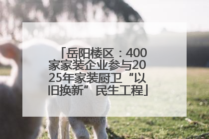 岳阳楼区：400家家装企业参与2025年家装厨卫“以旧换新”民生工程