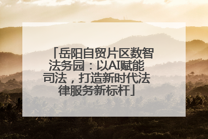 岳阳自贸片区数智法务园：以AI赋能司法，打造新时代法律服务新标杆