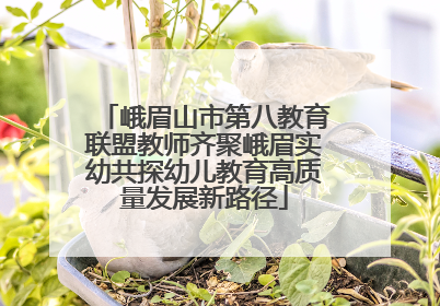 峨眉山市第八教育联盟教师齐聚峨眉实幼共探幼儿教育高质量发展新路径