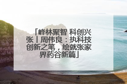 峰林聚智 科创兴张丨周伟良：执科技创新之笔，绘就张家界药谷新篇