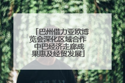 巴州借力亚欧博览会深化区域合作 中巴经济走廊成果惠及经贸发展