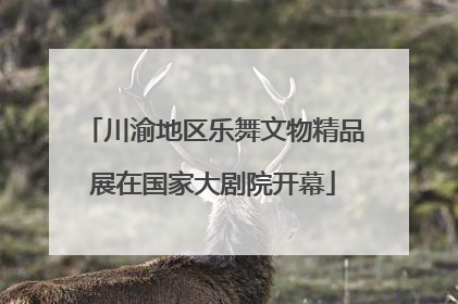 川渝地区乐舞文物精品展在国家大剧院开幕