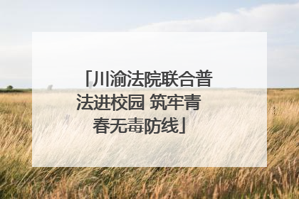 川渝法院联合普法进校园 筑牢青春无毒防线
