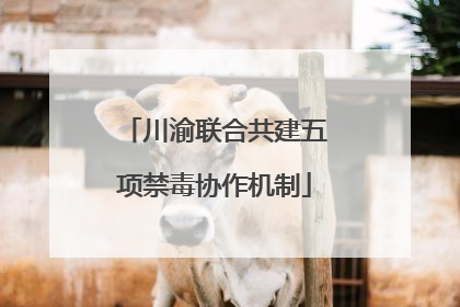 川渝联合共建五项禁毒协作机制