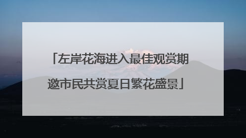 左岸花海进入最佳观赏期 邀市民共赏夏日繁花盛景