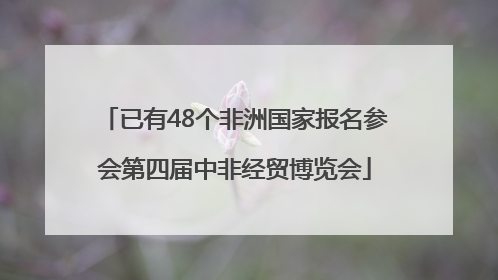 已有48个非洲国家报名参会第四届中非经贸博览会