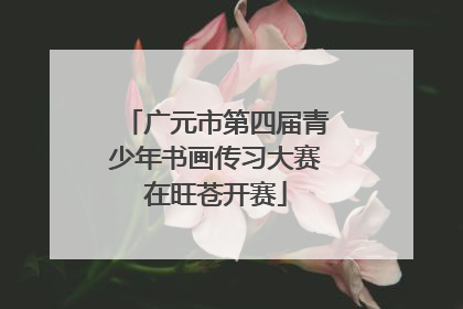 广元市第四届青少年书画传习大赛在旺苍开赛