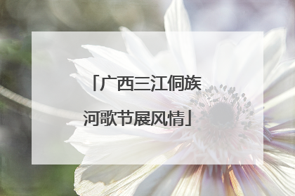 广西三江侗族河歌节展风情
