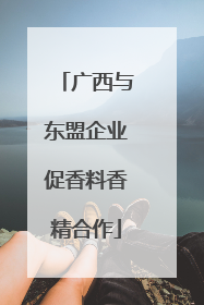 广西与东盟企业促香料香精合作