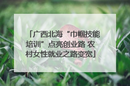 广西北海“巾帼技能培训”点亮创业路 农村女性就业之路变宽