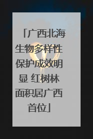 广西北海生物多样性保护成效明显 红树林面积居广西首位