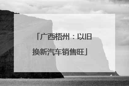广西梧州：以旧换新汽车销售旺