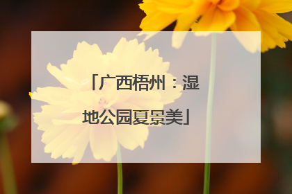 广西梧州：湿地公园夏景美