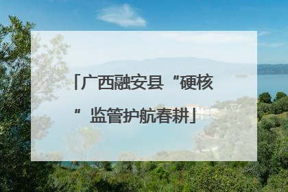 广西融安县“硬核”监管护航春耕