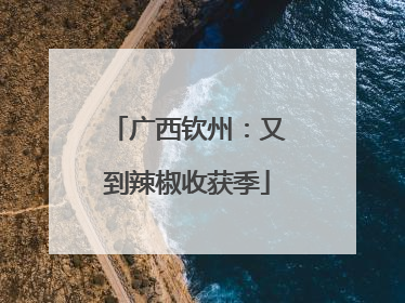 广西钦州：又到辣椒收获季