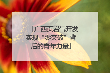 广西页岩气开发实现“零突破”背后的青年力量