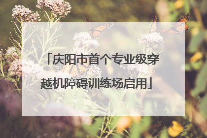 庆阳市首个专业级穿越机障碍训练场启用