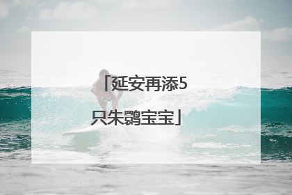 延安再添5只朱鹮宝宝