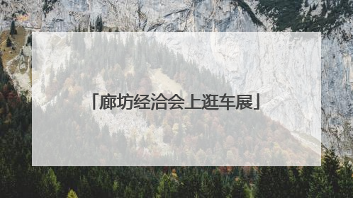廊坊经洽会上逛车展