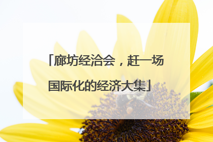 廊坊经洽会，赶一场国际化的经济大集
