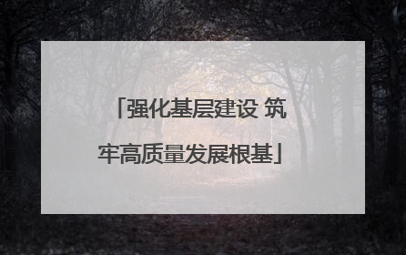 强化基层建设 筑牢高质量发展根基