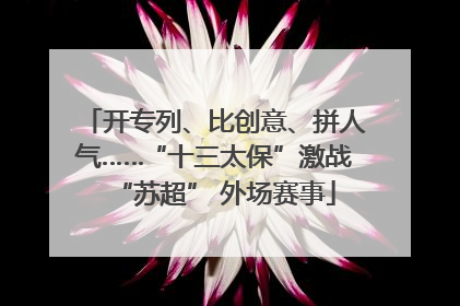 开专列、比创意、拼人气……“十三太保”激战“苏超” 外场赛事