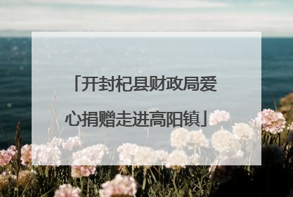 开封杞县财政局爱心捐赠走进高阳镇