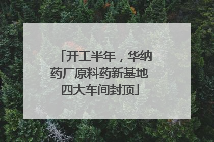 开工半年，华纳药厂原料药新基地四大车间封顶