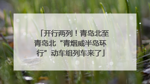 开行两列！青岛北至青岛北“青烟威半岛环行”动车组列车来了
