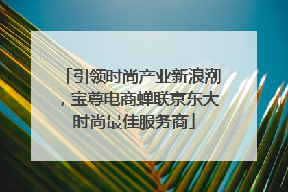 引领时尚产业新浪潮，宝尊电商蝉联京东大时尚最佳服务商