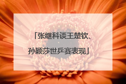 张继科谈王楚钦、孙颖莎世乒赛表现